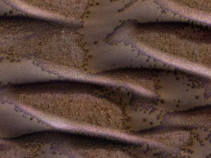 Frosted Dunes on Mars: Sand dunes cover much of this terrain, which has large boulders lying on flat areas between the dunes. It is late winter in the southern hemisphere of Mars, and these dunes are just getting enough sunlight to start defrosting their seasonal cover of carbon dioxide. Spots form where pressurized carbon dioxide gas escapes to the surface. Photograph courtesy of NASA.